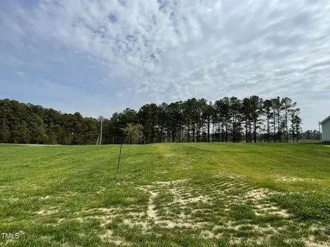 Other - 101 Starry Sky Dr, Benson, NC 27504 photo 4 of 4