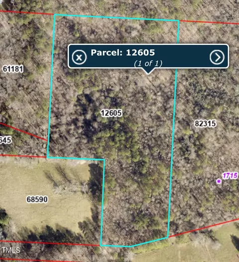 0 Moons Chapel Rd, Siler City, NC 27344