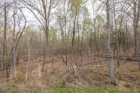 1229 Shadow Shade Dr, Wake Forest, NC 27587 photo 33