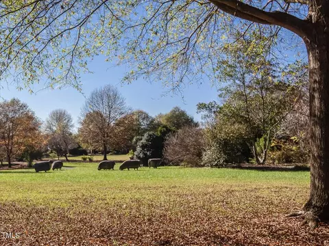 803 Millcroft, Pittsboro, NC 27312 photo 41