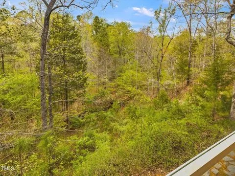 803 Millcroft, Pittsboro, NC 27312 photo 10