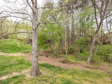 113 Long Shadow Pl, Durham, NC 27713 photo 25