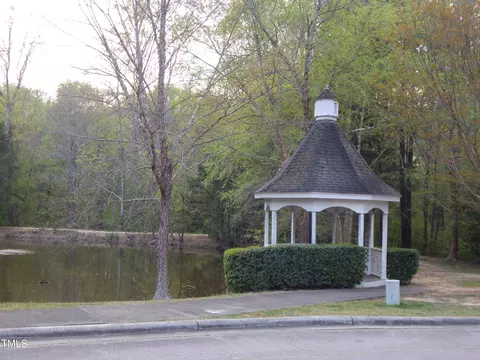 76 Grapevine Trl, Durham, NC 27707 photo 30