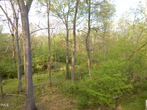 76 Grapevine Trl, Durham, NC 27707 photo 32