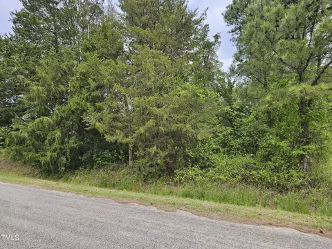 0 Weldon Capps Rd, Manson, NC 27553 photo 2