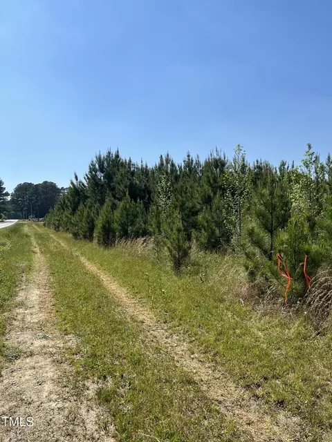 8801 Riley Hill Rd, Zebulon, NC 27597