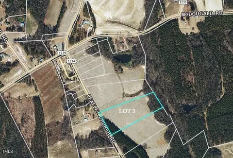 3 Leaflet Church Rd, Broadway, NC 27505