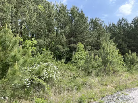 00 N Chavis Rd, Kittrell, NC 27544 photo 7