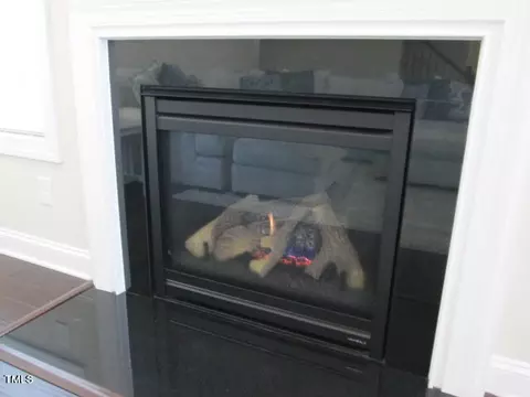 Other - 809 Conifer Forest Ln, Wake Forest, NC 27587 photo 3 of 14
