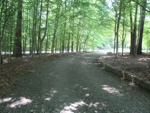 2924 Pheasant Run Rd, Haw River, NC 27258 photo 5
