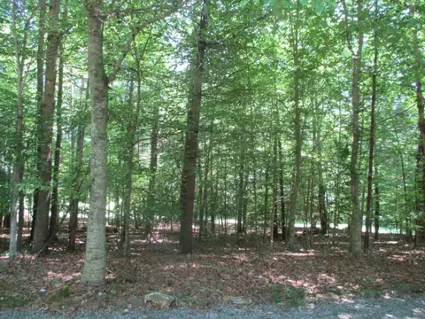 2924 Pheasant Run Rd, Haw River, NC 27258 photo 7