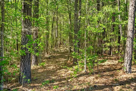 3195 Range Rd, Stem, NC 27581 photo 61