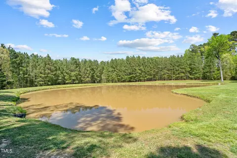 3195 Range Rd, Stem, NC 27581 photo 60