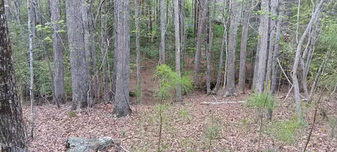 1505 Willowshire Ln, Wake Forest, NC 27587