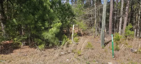 6765 Clinton Rd, Stedman, NC 28391