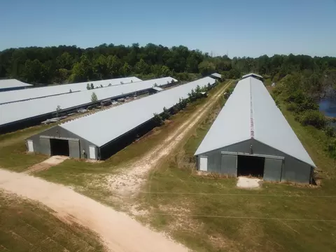 1643 Mcneill Hobbs Rd, Bunnlevel, NC 28323