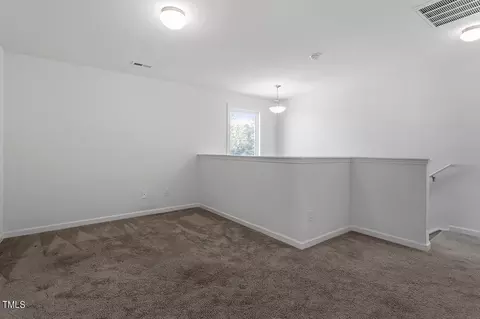 147 Pineapple Pl, Benson, NC 27504 photo 17