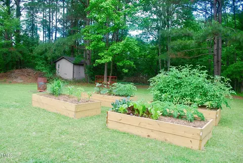132 Sweet Pea Ln, Willow Spring, NC 27592 photo 32