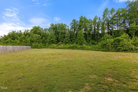 206 Pineapple Pl, Benson, NC 27504 photo 25
