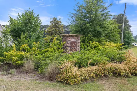 206 Pineapple Pl, Benson, NC 27504 photo 26