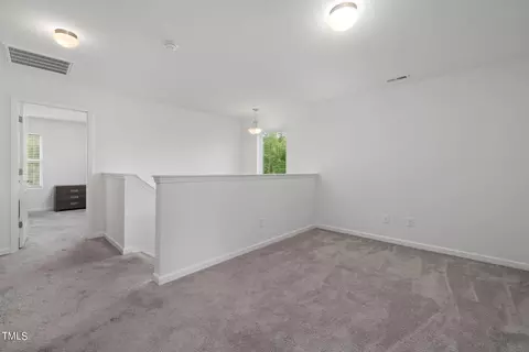 206 Pineapple Pl, Benson, NC 27504 photo 18
