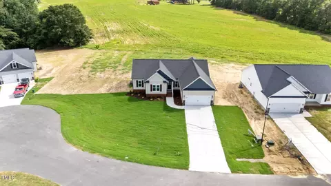 View/Area - 84 Junius Ct, Angier, NC 27501 photo 2 of 3