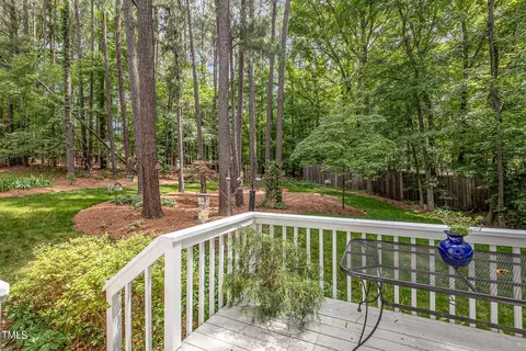 10 Gray Fox Ct, Durham, NC 27713 photo 21