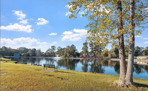 View/Area - 385 E Williams St, Angier, NC 27501 photo 2 of 2