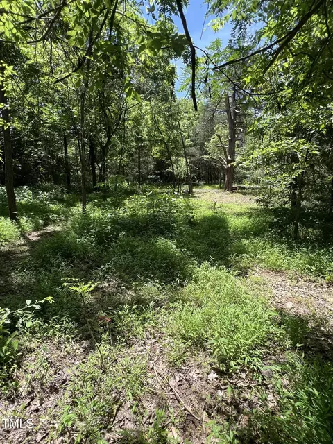 2201 Moorefields Rd, Hillsborough, NC 27278