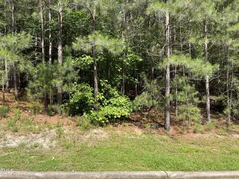 48 Mist Wood Ct, Pittsboro, NC 27312