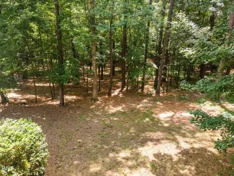 7013 Landingham Dr, Willow Spring, NC 27592 photo 39
