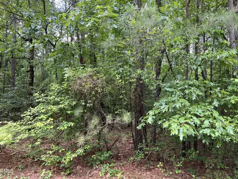 354 Thimbleberry Dr, Vass, NC 28394