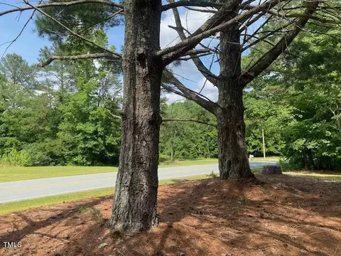 480 Peed Rd, Rougemont, NC 27572 photo 5