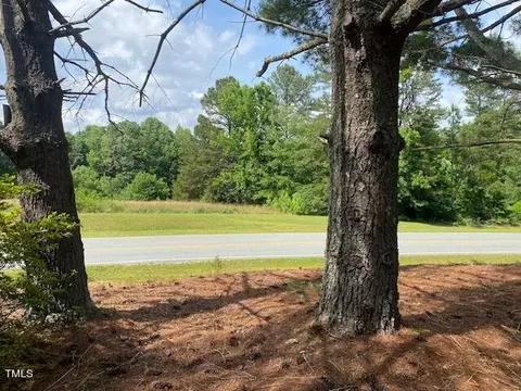 480 Peed Rd, Rougemont, NC 27572 photo 8