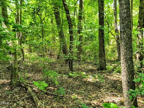 00 Green Pasture Ln, Ruffin, NC 27326