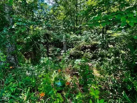 00 Mc Arthur St, Henderson, NC 27536