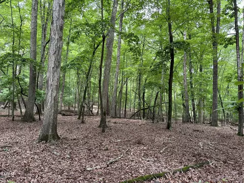 20 Mafolie Ct, Chapel Hill, NC 27514