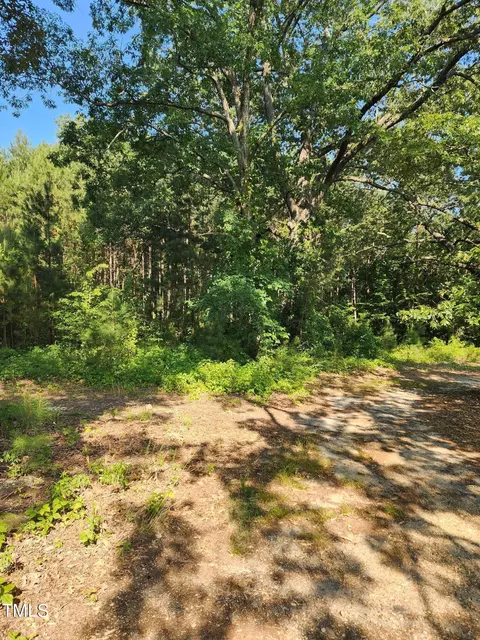 1703 Ivey St, Roanoke Rapids, NC 27870