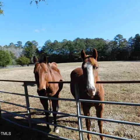 9402 Hampton Rd, Rougemont, NC 27572 photo 3
