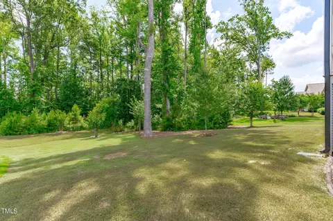 1176 Saint Cloud Loop, Apex, NC 27523 photo 42