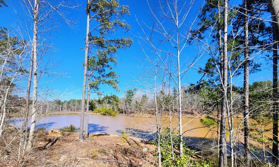 View/Area - 249 Umstead St, Sanford, NC 27330 photo 3 of 5