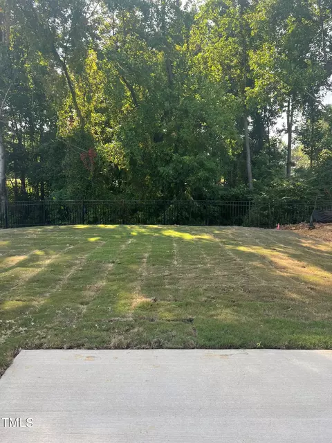 47 Hank Way, Angier, NC 27501 photo 11