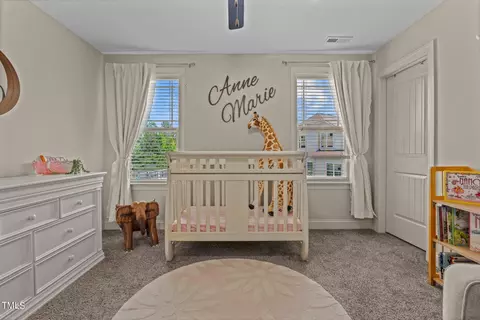 10 Setter Ct, Angier, NC 27501 photo 21