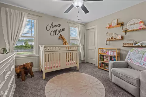 10 Setter Ct, Angier, NC 27501 photo 20