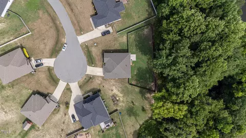 View/Area - 95 Longo Ln, Benson, NC 27504 photo 5 of 7