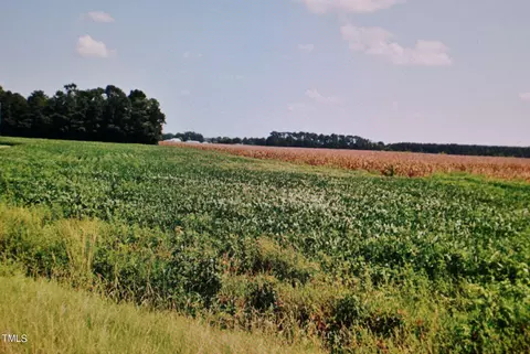 3724 Alex Benton Rd, Newton Grove, NC 28366