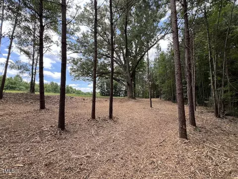 8 Peachtree Hills Rd, Spring Hope, NC 27882