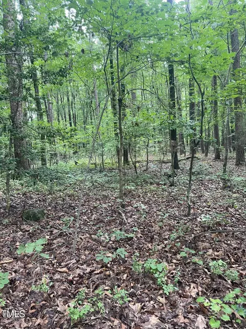 00 Indian Orchard Rd, Pittsboro, NC 27312