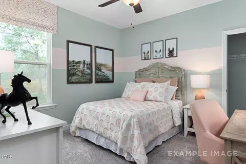 180 Looping Ct, Angier, NC 27501 photo 13