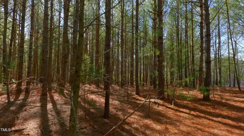 7402 Mitchell Mill Rd, Zebulon, NC 27597